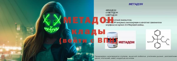 стаф Дубна