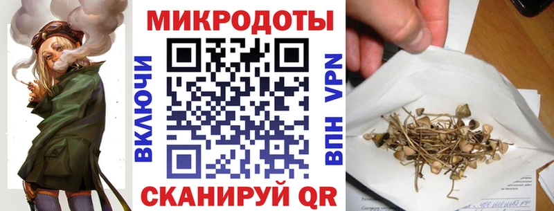 Псилоцибиновые грибы GOLDEN TEACHER  нарко площадка какой сайт  Олёкминск  omg  